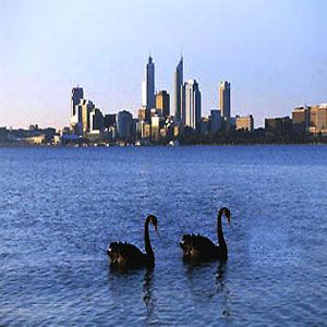 Perth Premium